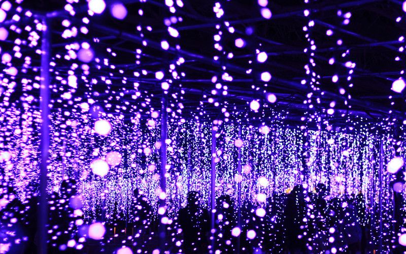 ashikaga flower park illumination