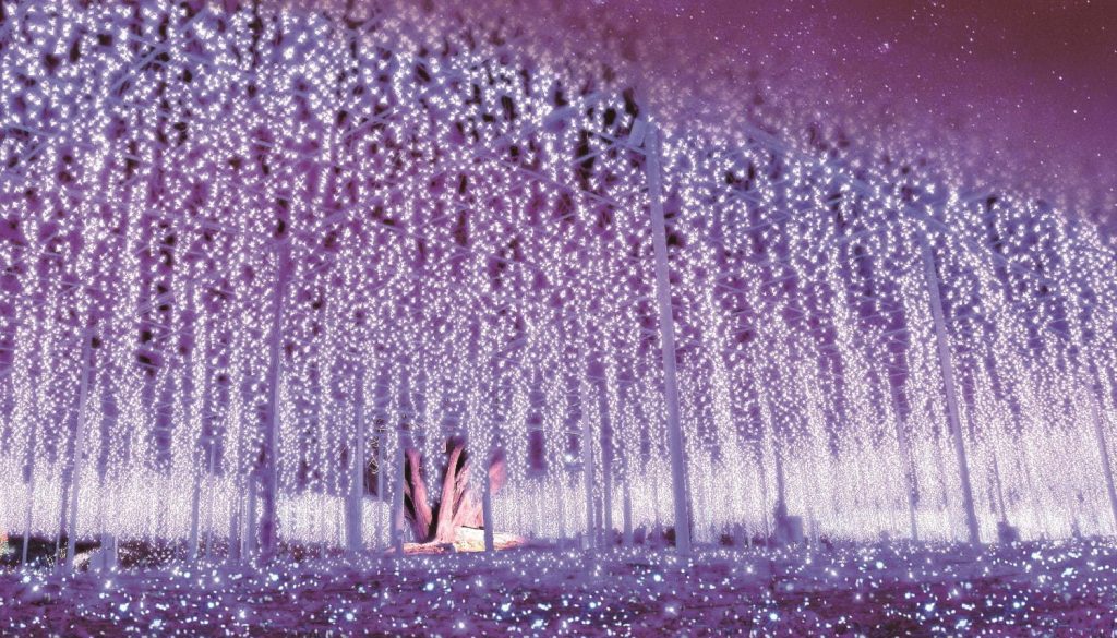 ashikaga flower park illumination wisteria glicine