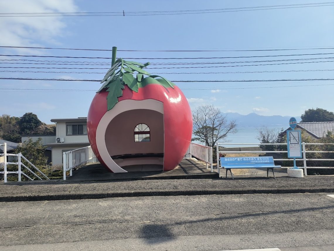 tomato fruit bus stop